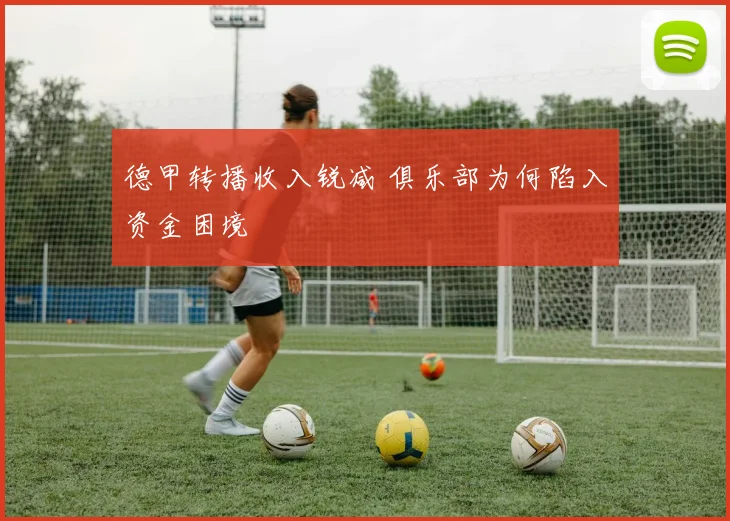 德甲转播收入锐减 俱乐部为何陷入资金困境