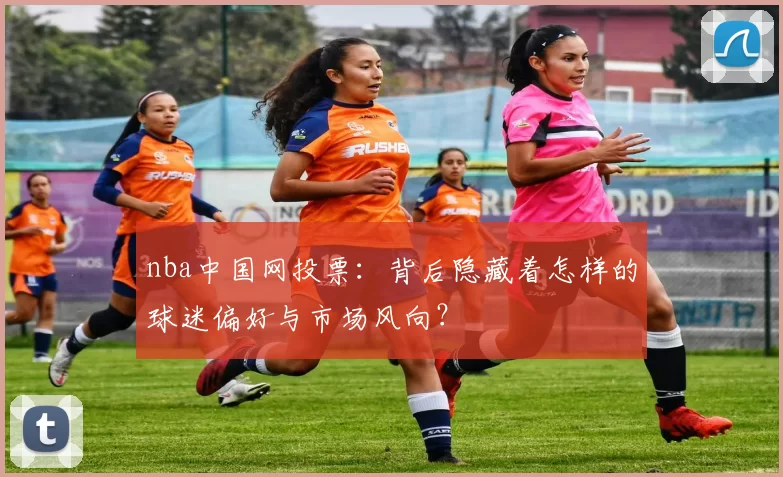 nba中国网投票：背后隐藏着怎样的球迷偏好与市场风向？