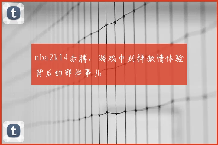 nba2k14赤膊，游戏中别样激情体验背后的那些事儿