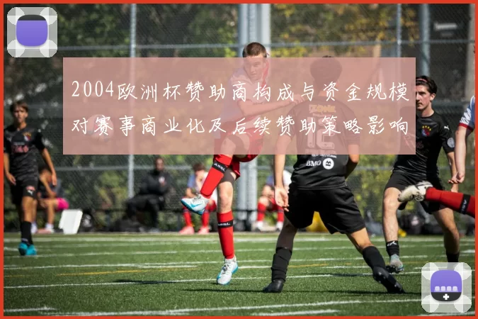 2004欧洲杯赞助商构成与资金规模对赛事商业化及后续赞助策略影响