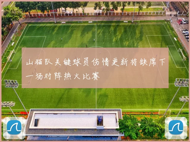 山猫队关键球员伤情更新将缺席下一场对阵热火比赛